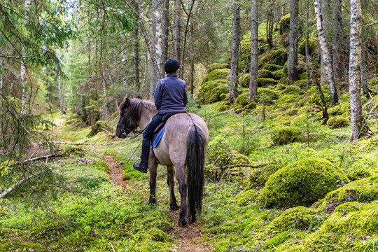 Kvinna som rider på en häst i skog