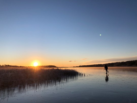 person som åker långfärdsskridskor